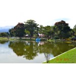 Sitio em Cacheiras de Macacu
